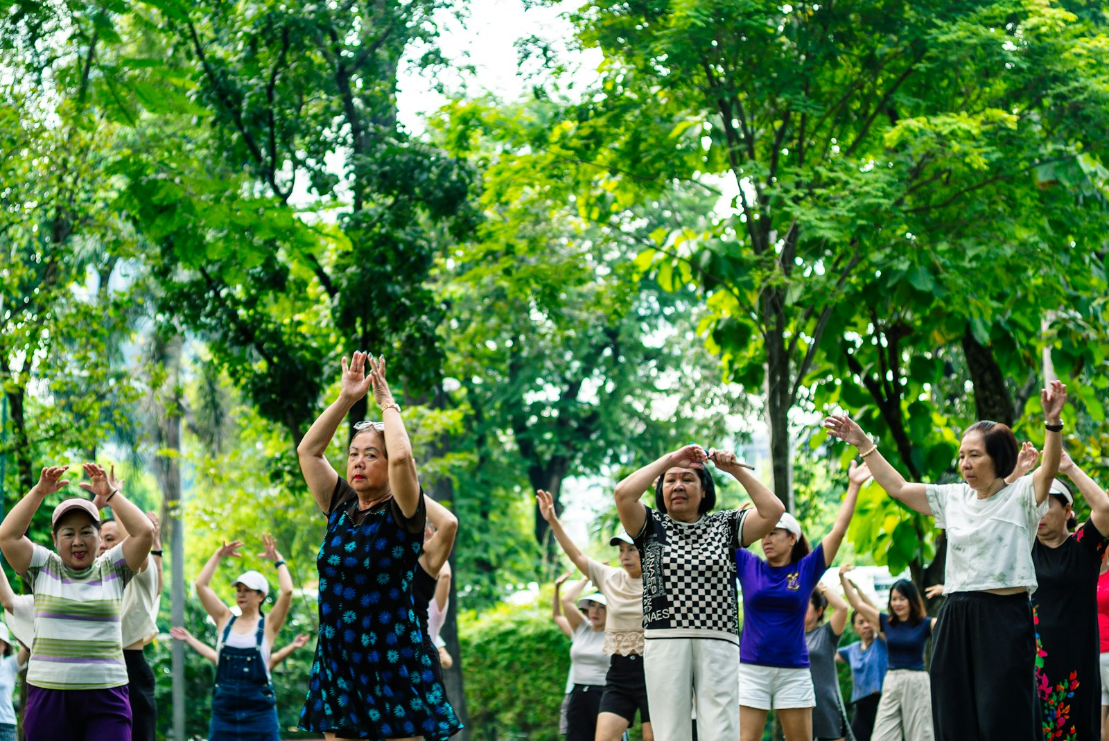 Older adults practising gentle mind-body exercise together outdoors in a park, similar to tai chi and qigong