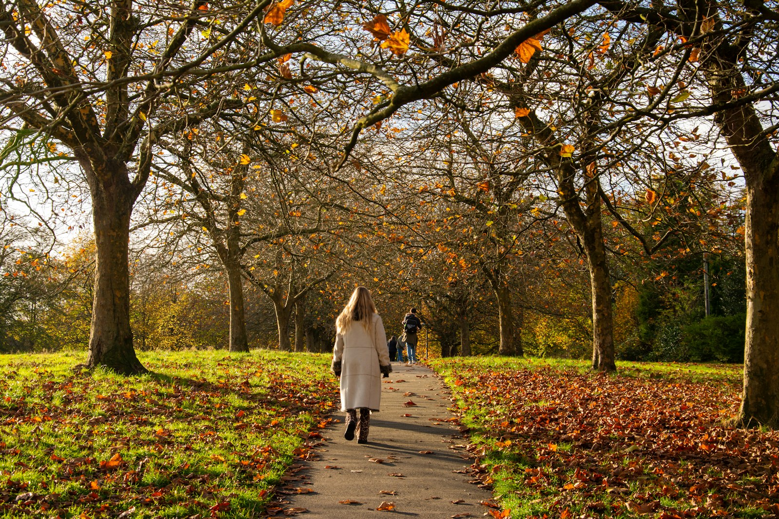A woman walking alone through autumn leaves in a park, a quiet moment for mental wellbeing during Mental Health Week